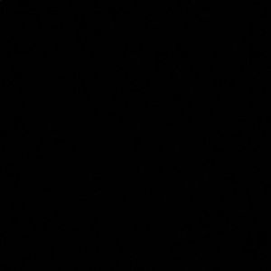 Meet your Posher, Denis